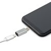 Delight USB Type-C - iPhone Lightning adapter Silver