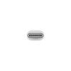 Apple USB-C to Lightning Adapter
