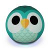 Amazon Echo Dot 5 Smart Speaker with Alexa Owl Design