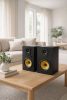 Thonet & Vander Kugel Gen 2 BT 2.0 speaker Black