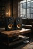 Thonet & Vander Kugel Gen 2 BT 2.0 speaker Black