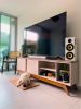 Thonet & Vander Hoch BT Gen2 2.0 Bluetooth White