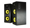 Thonet & Vander Hoch BT Gen2 2.0 Bluetooth Black