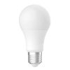 Platinet OMEGA LED BULB ECO 6000K E27 18W