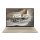 Asus ZenBook UX3607OA-SQ106W - Windows® 11  - Zabriskie Beige - OLED