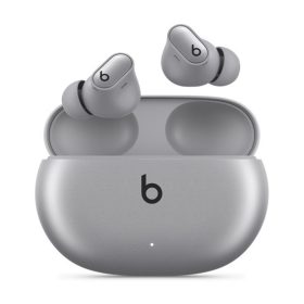 Apple Beats Studio Buds Plus - Cosmic Silver